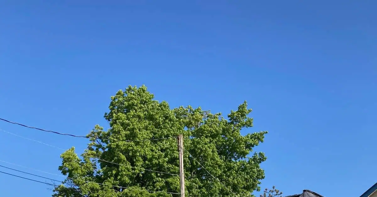 House Fire Breaks Out in Shelburne Country 105