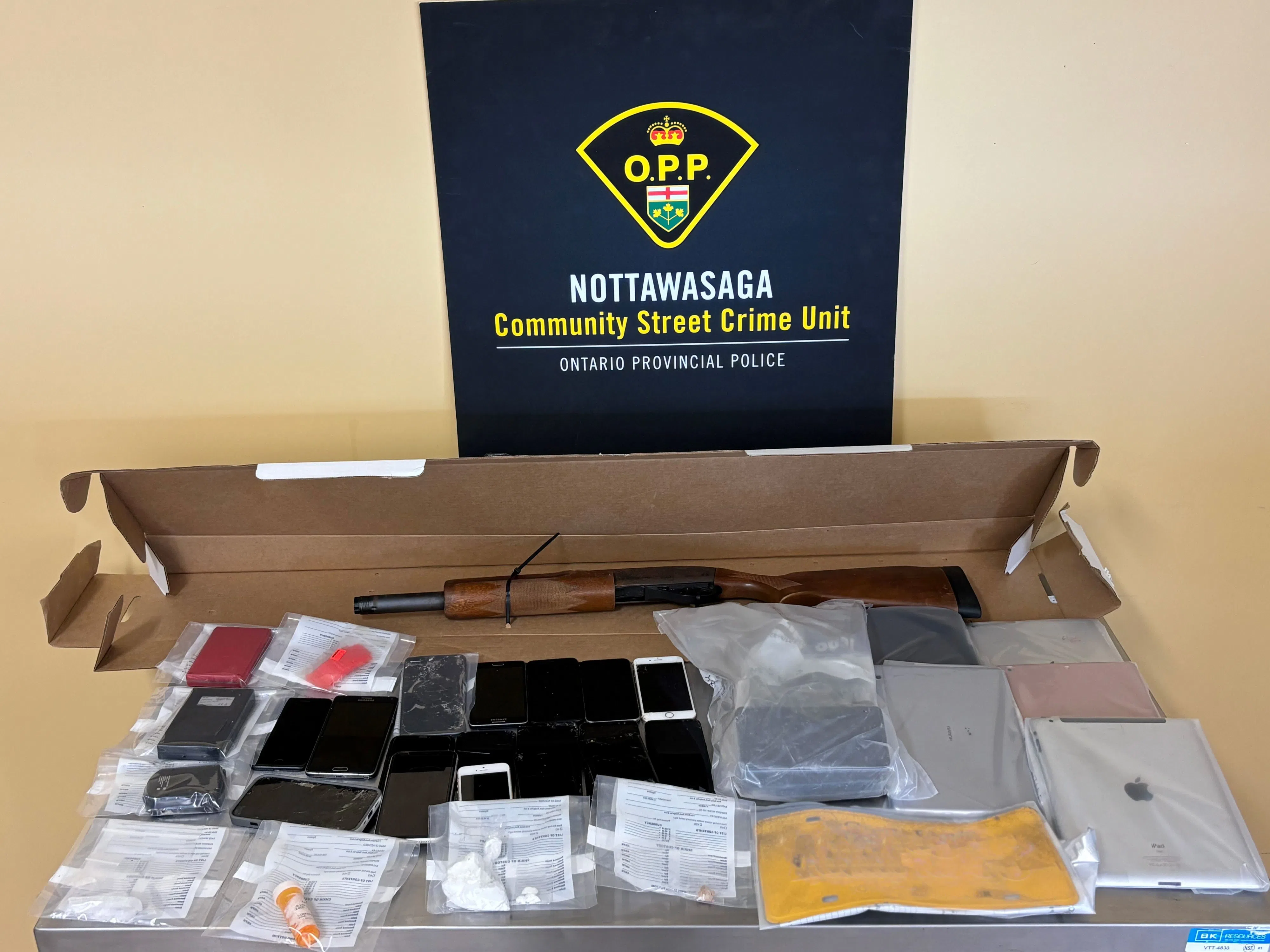 Two Arrested and Handed 24 Charges in New Tecumseth