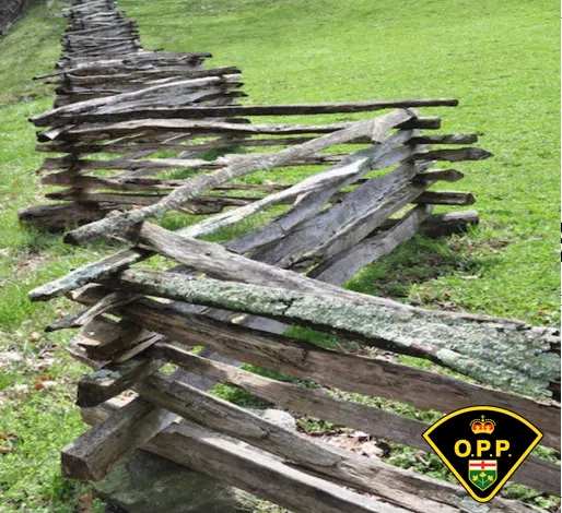 Two Charged for Stealing Cedar Rails