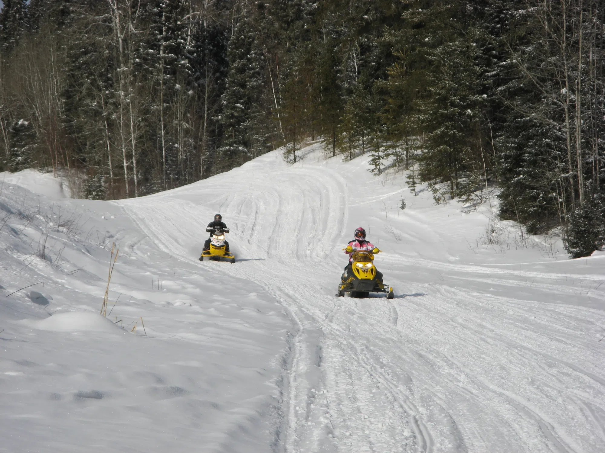 Police Want Safe Sledding Season