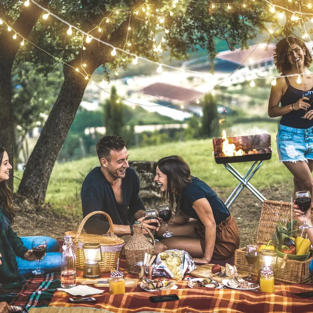 5 Techniques To Elevate a Backyard Picnic