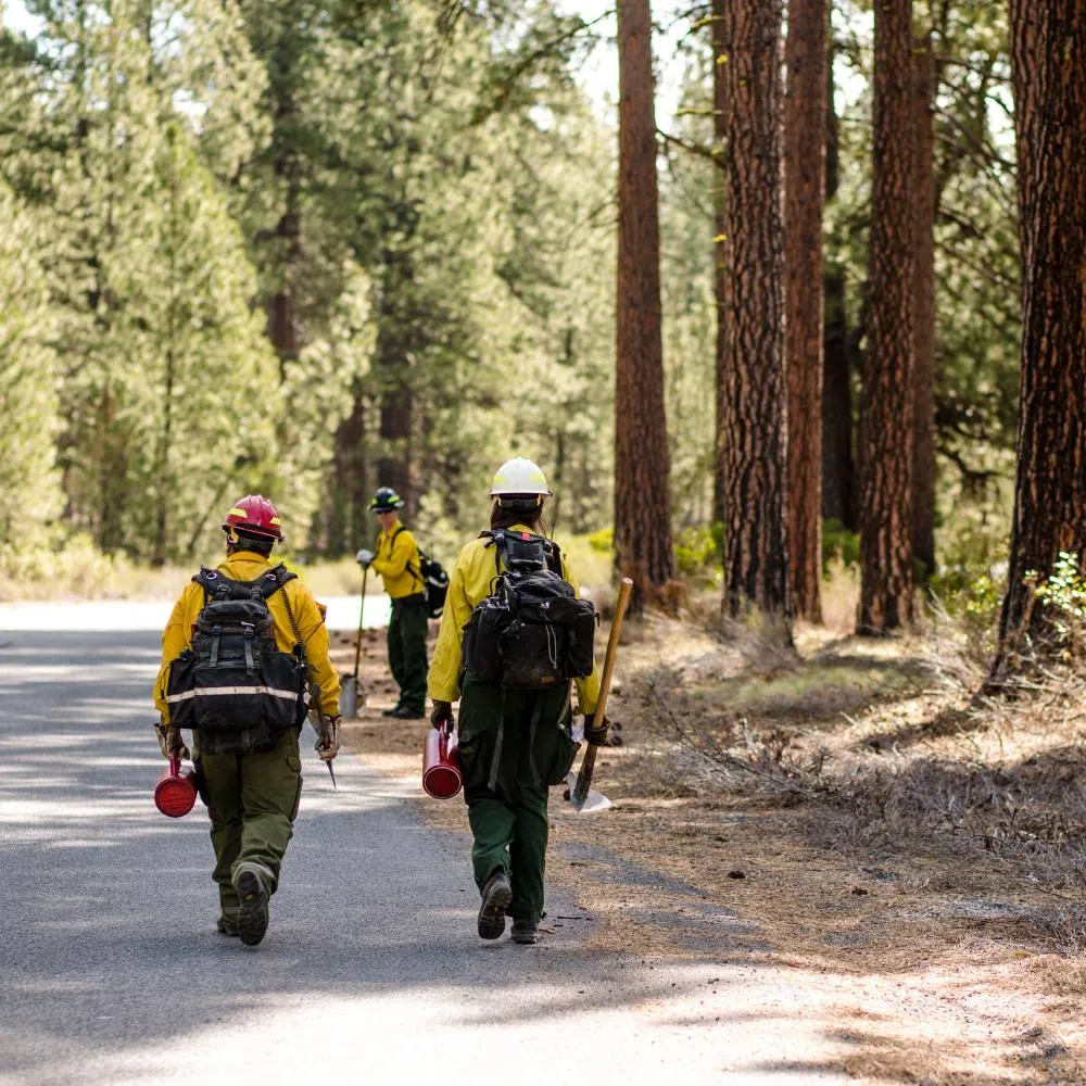 Why Mental Readiness Matters in Wildfire Preparedness