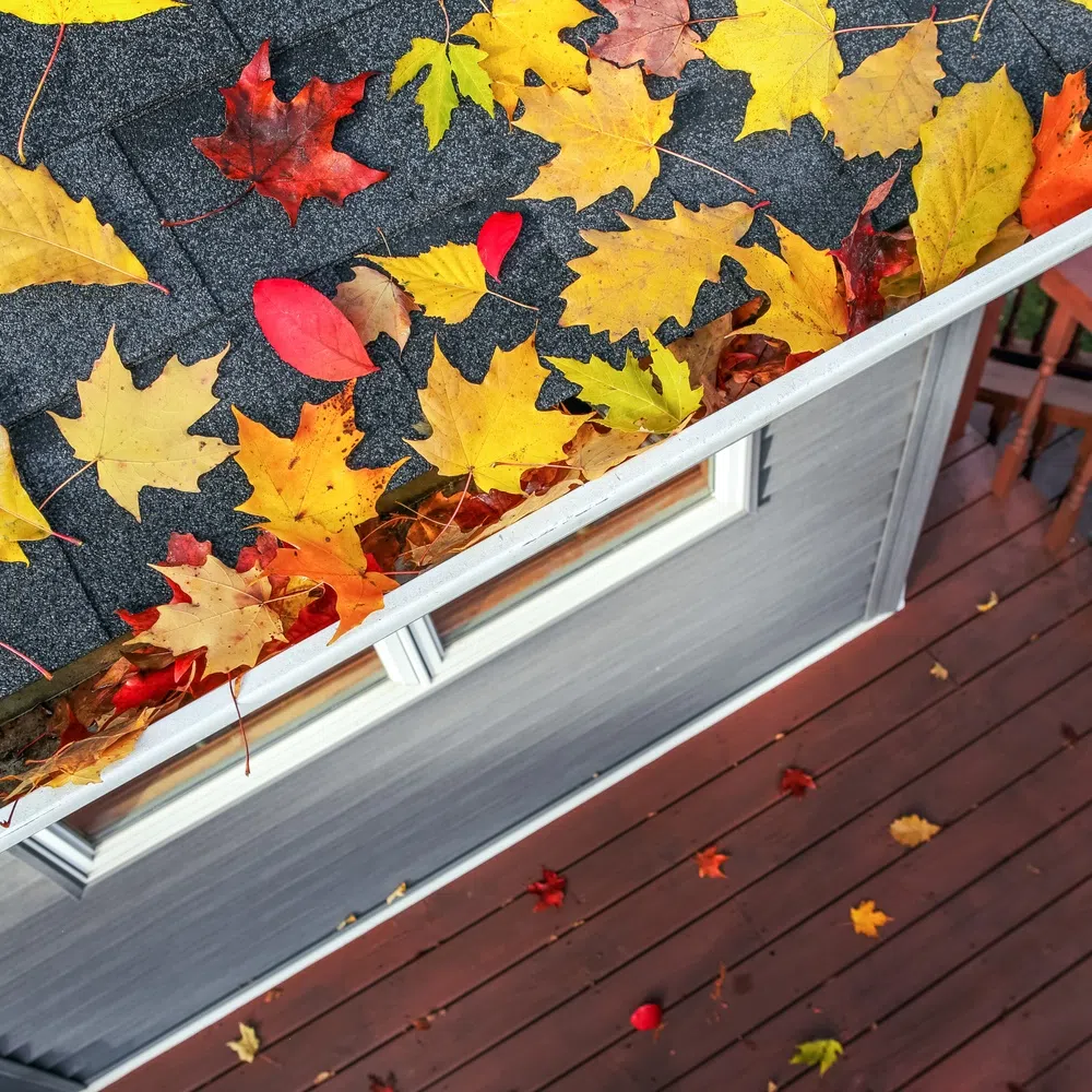 Fall Yard and Home Maintenance Tips for Homeowners