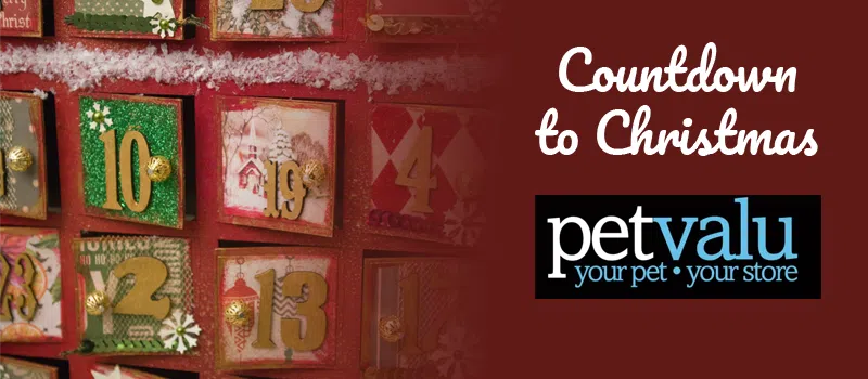 Feature: /countdown-to-christmas/