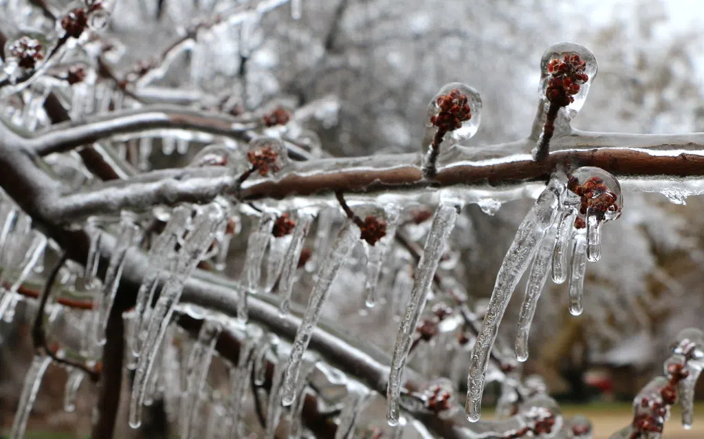 Freezing Rain Warning Covers Region, Slick Conditions Expected