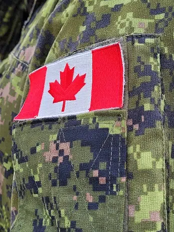 Military Training In Owen Sound This Week