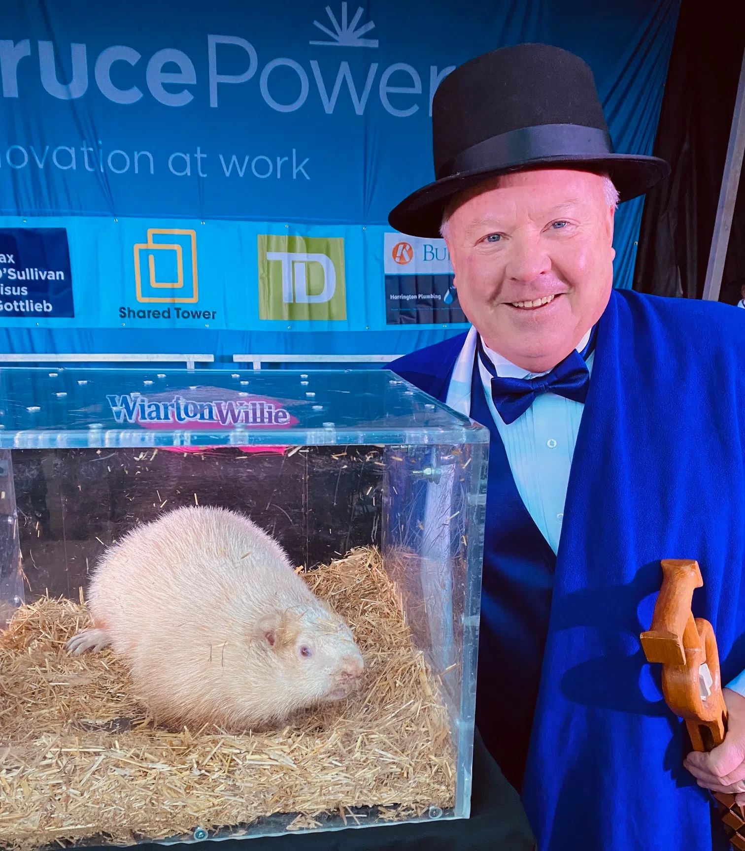 Wiarton Willie Predicts Early Spring