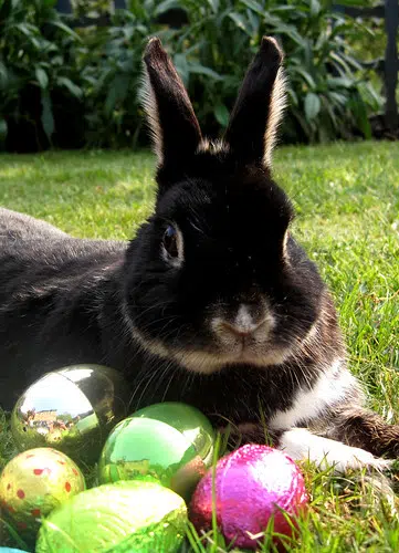 It's Easter Monday: What's Open/Closed?