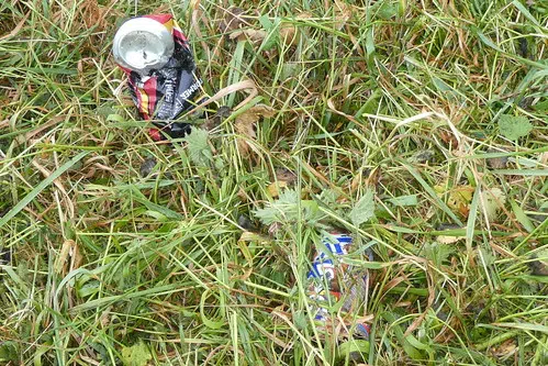 Grey Highlands Looks To Make Community Litter-Free