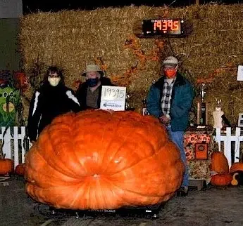 Pumpkinfest Is Back In Port Elgin This Weekend