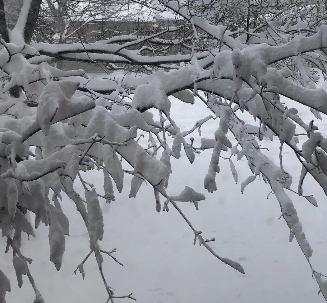 Snowfall Warning For Most Of Grey Bruce