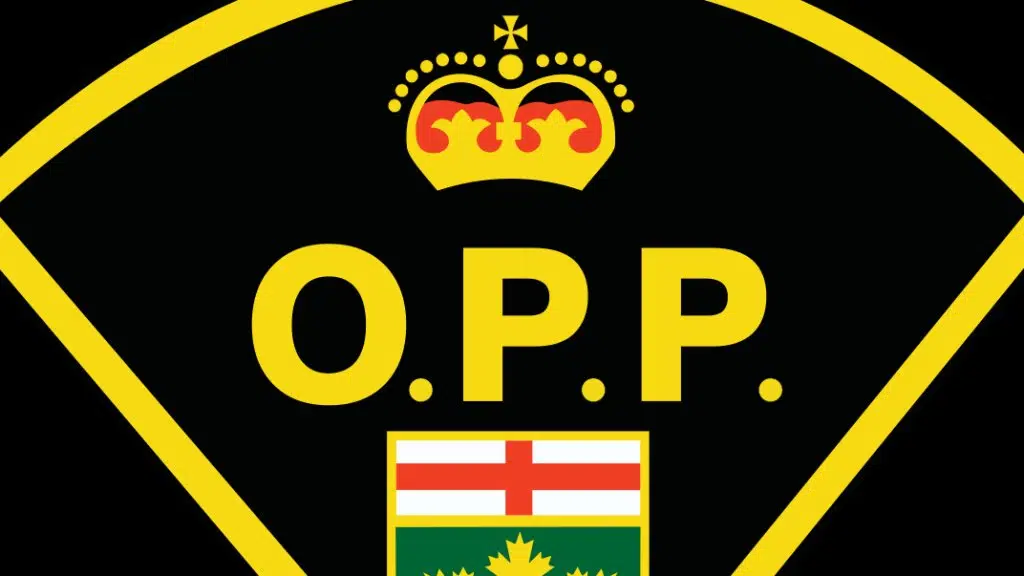 OPP Investigate After Human Remains Located Near Mount Forest