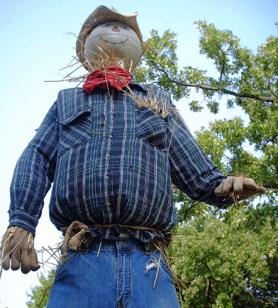 Communities Join Meaford Scarecrow, Family Festival