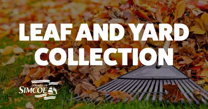 Simcoe County Leaf And Yard Waste Collection Begins Bayshore