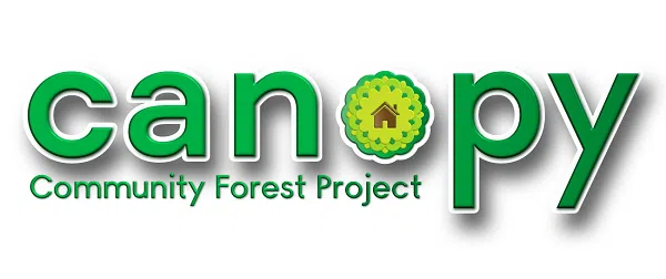 Canopy Collingwood Project Aims To Increase Urban Tree Growth