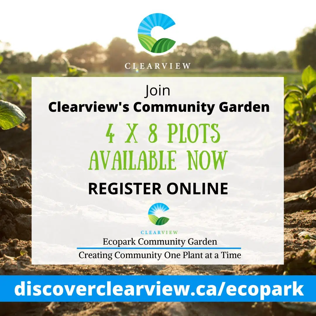 Clearview Eco Park Accepting Garden Plot Applications