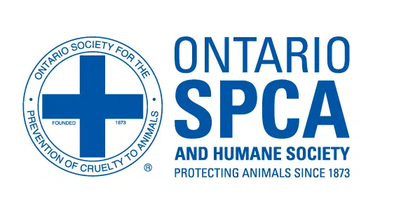 Orillia SPCA Hosting Online Auction