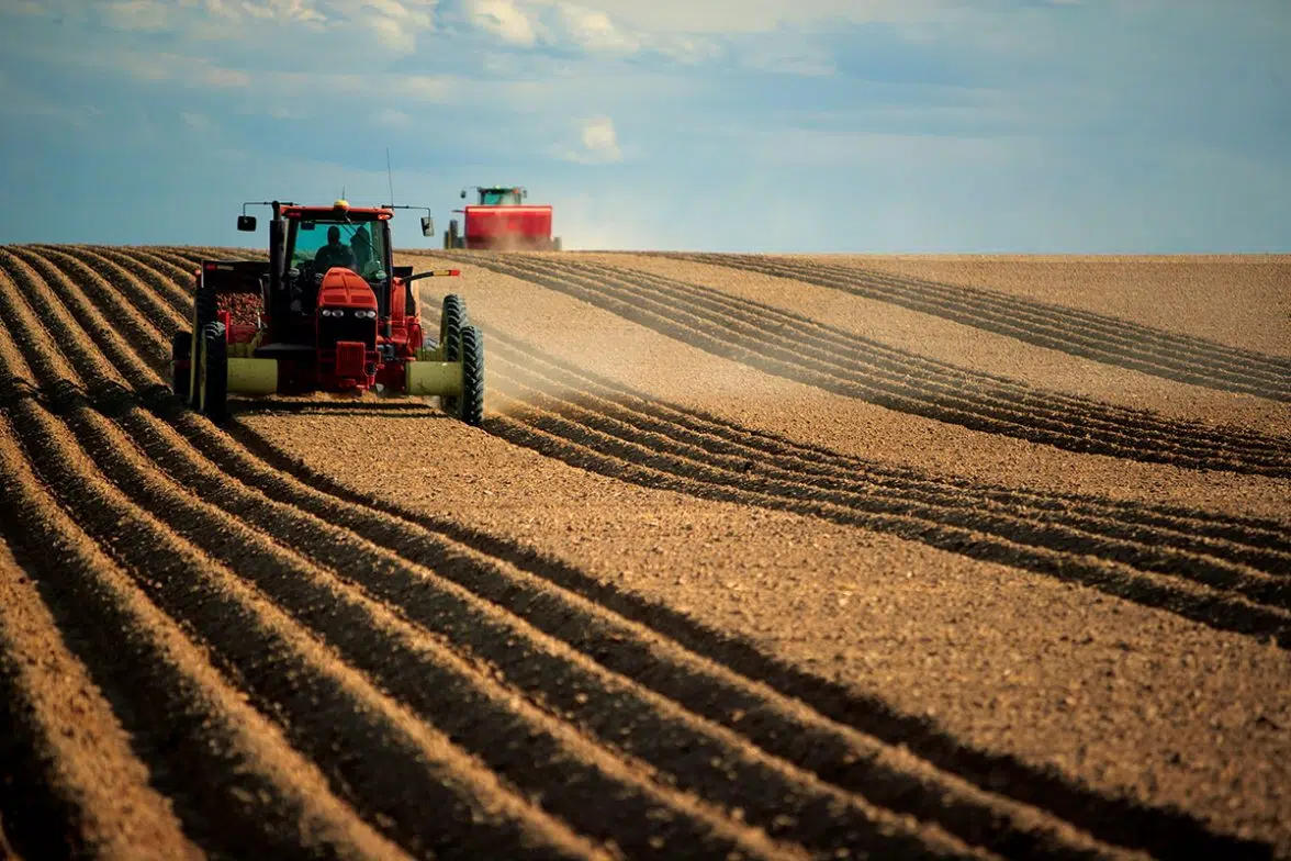 Simcoe County Potato Farm Fined For Violating Water Resources Act