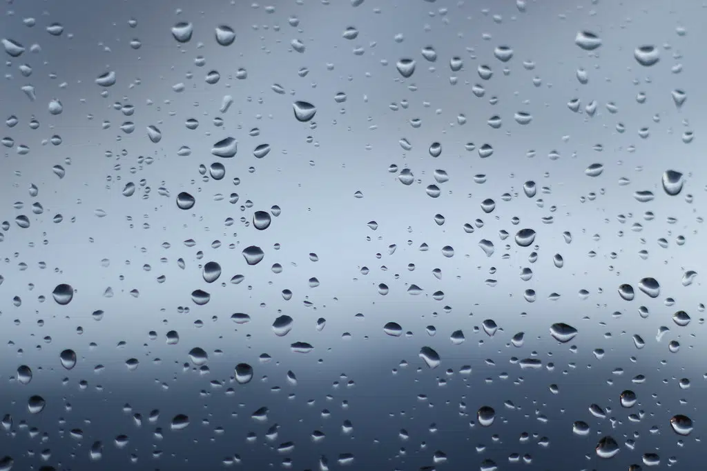 Significant Rainfall Possible In Grey Bruce Tonight & Tomorrow