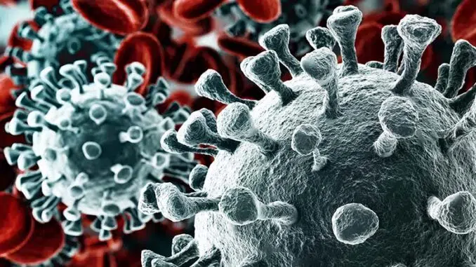 Grey Bruce Now A Delta Variant Hotspot