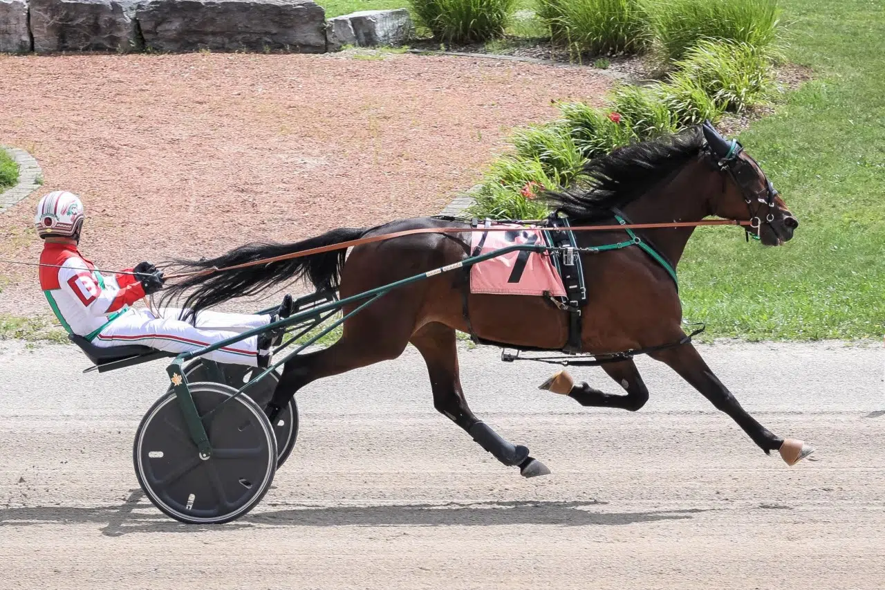 Aug 16/21 Bayshore Broadcasting Sports