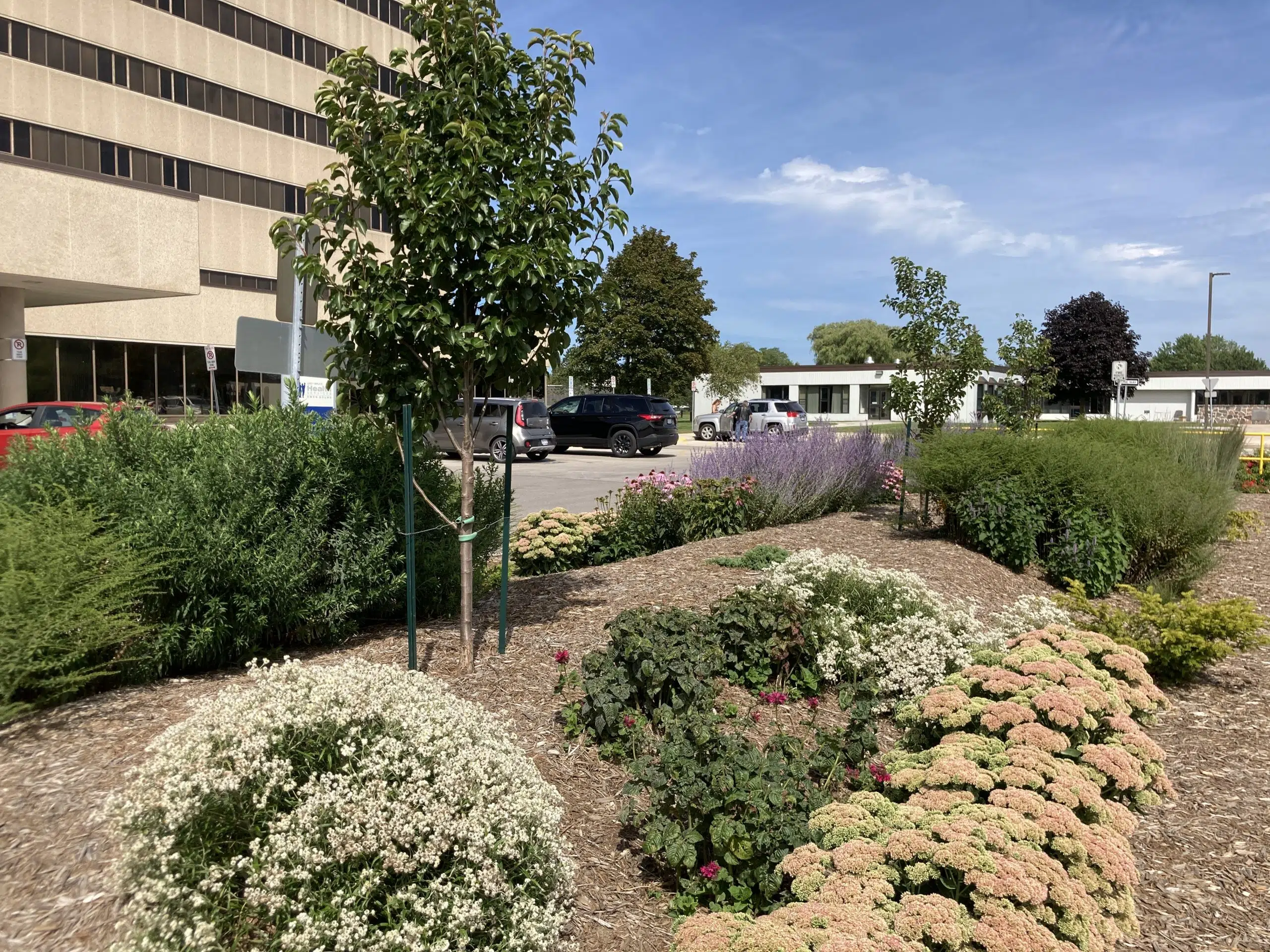 New Garden Unveiled At Owen Sound Hospital