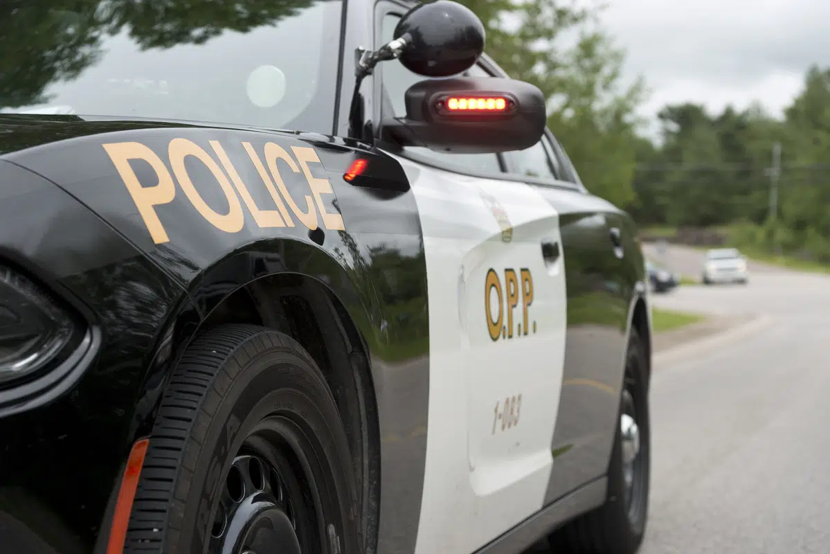Body Found Near Shoreline In Collingwood