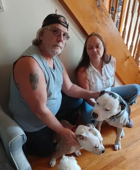 Tara Couple Temporarily Reunited With Dogs By Court Order As Legal Battle Against Pit Bull Ownership Charges Continues