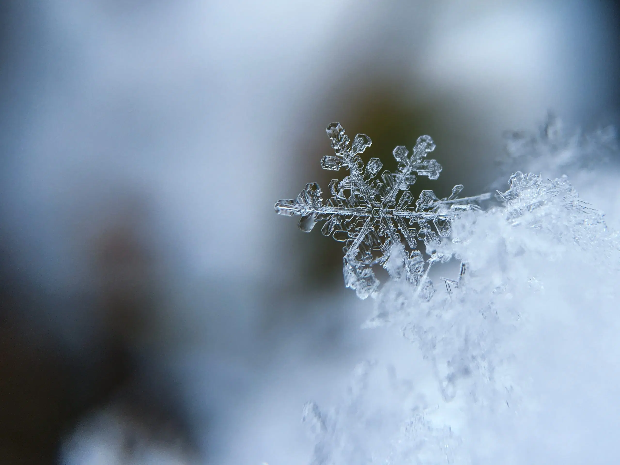 Snow Day For Simcoe County and Muskoka