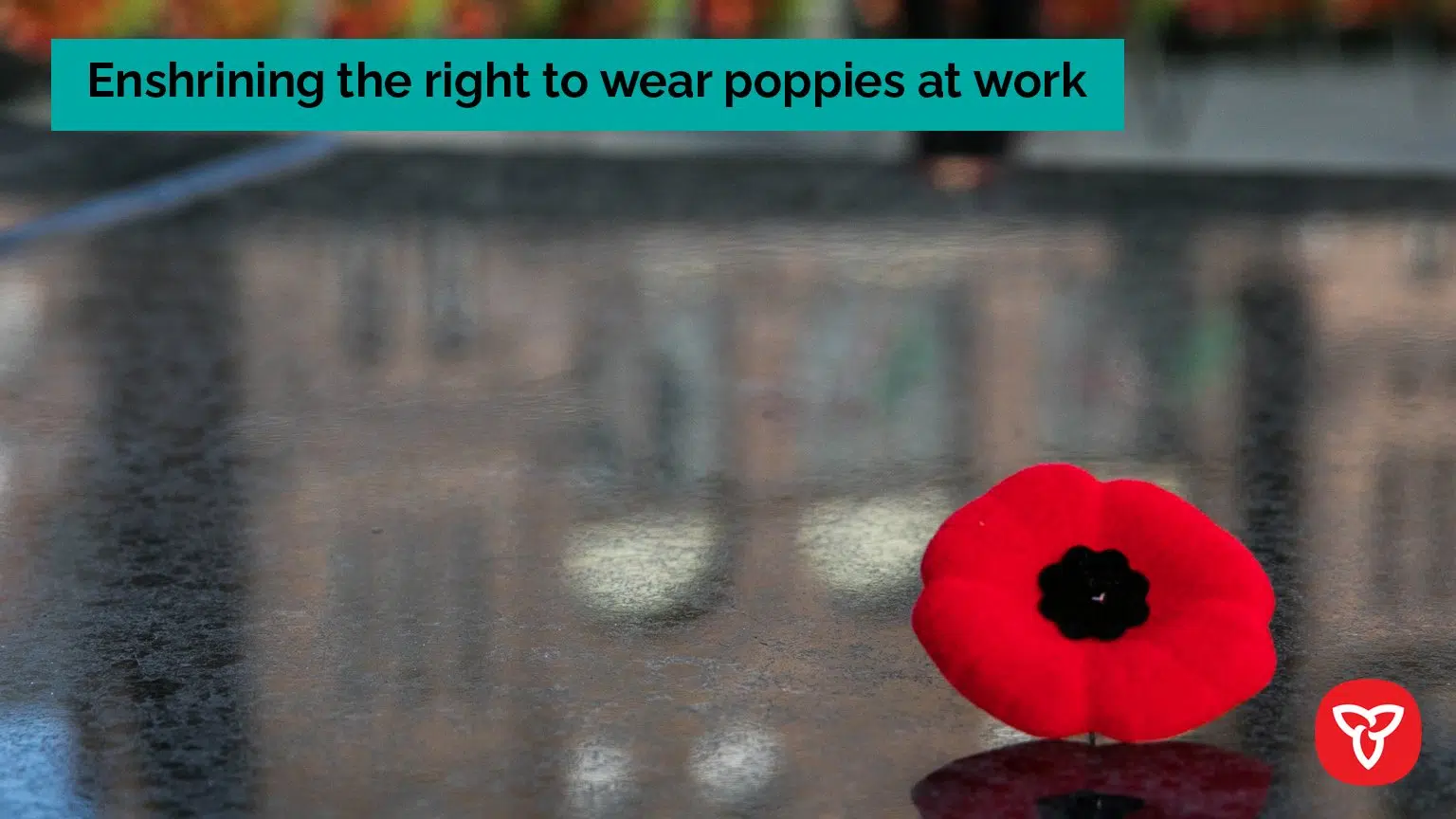 Ontario Enshrining the Right to Wear Poppies in the Workplace