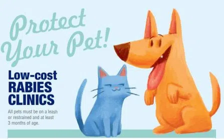 Low Cost Rabies Clinics in Oro-Medonte And Penetanguishene