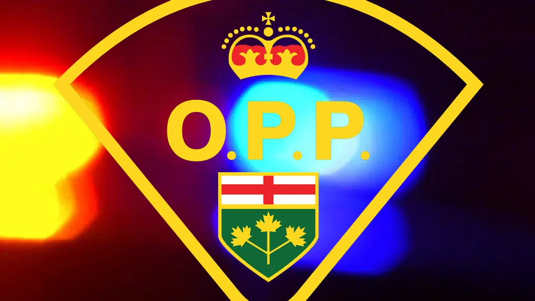 OPP Canine, Specialized ERT Unit Respond To Theft Of Vehicle In Kincardine