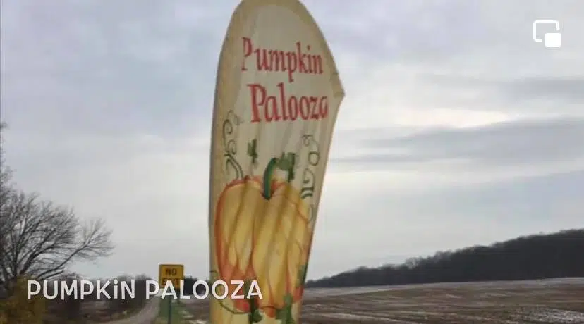 Pumpkinpalooza Returns To Springwater This Weekend