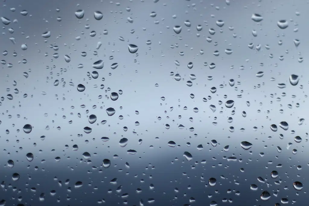 Rainfall Warning For Grey Bruce