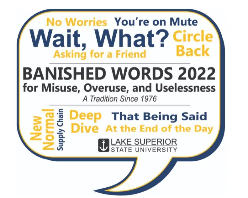 Banished Words Listed By Year 1976 - 2022