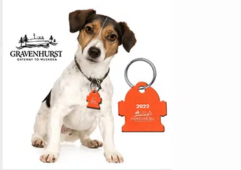 2022 Gravenhurst Dog Tags Are Now Available