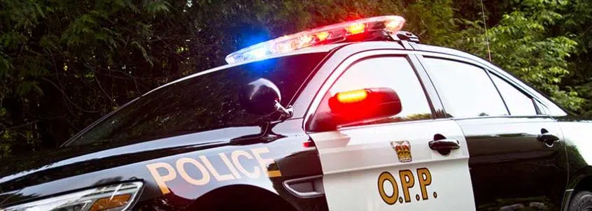 Multiple Charges Laid Following South Bruce Peninsula Altercation
