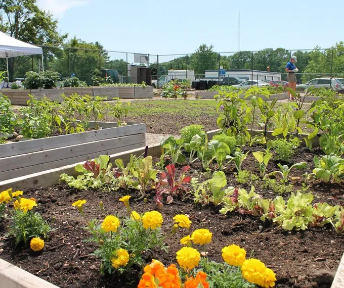 Reservations Open For Plots in Tiny Community Garden