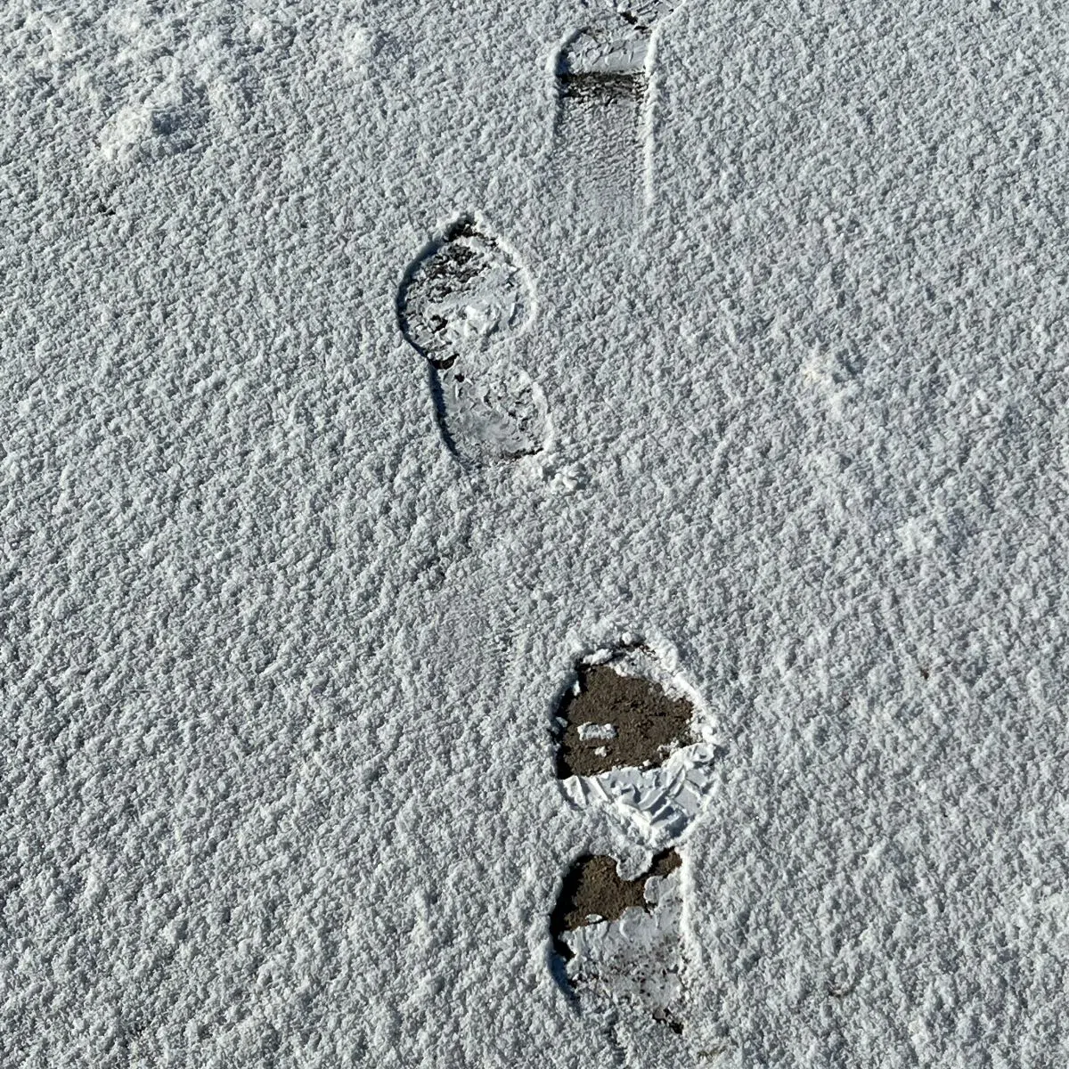 Footprints In The Snow Lead To Suspect's Arrest In Barrie