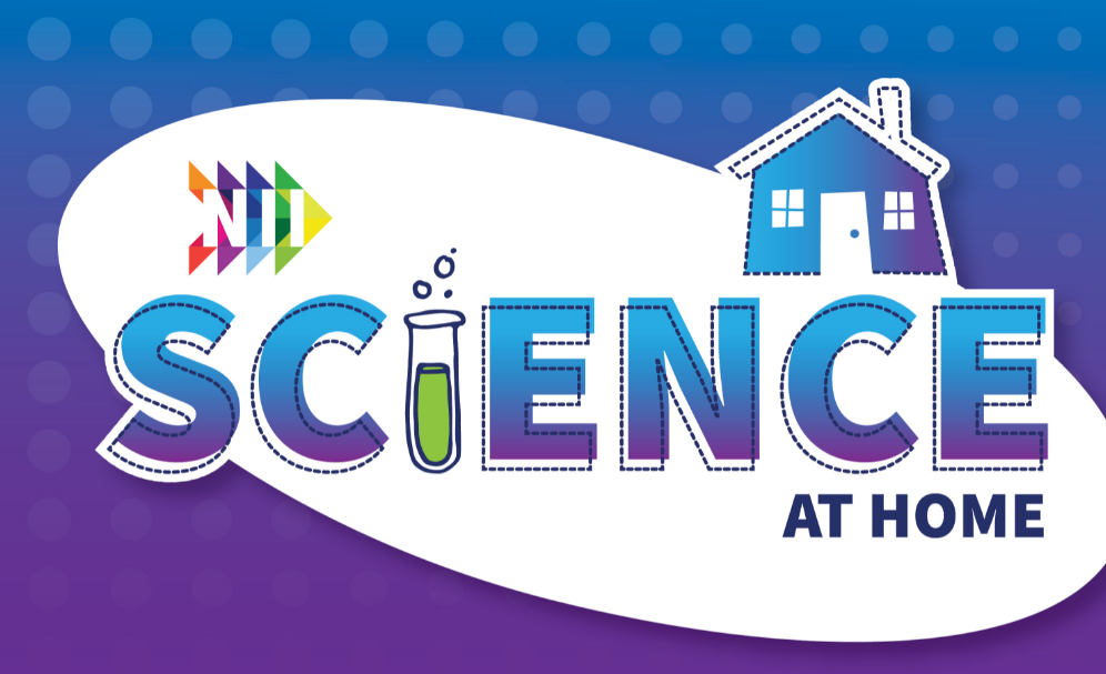 Bruce County Public Library, NII To Host Science At Home Program During March Break