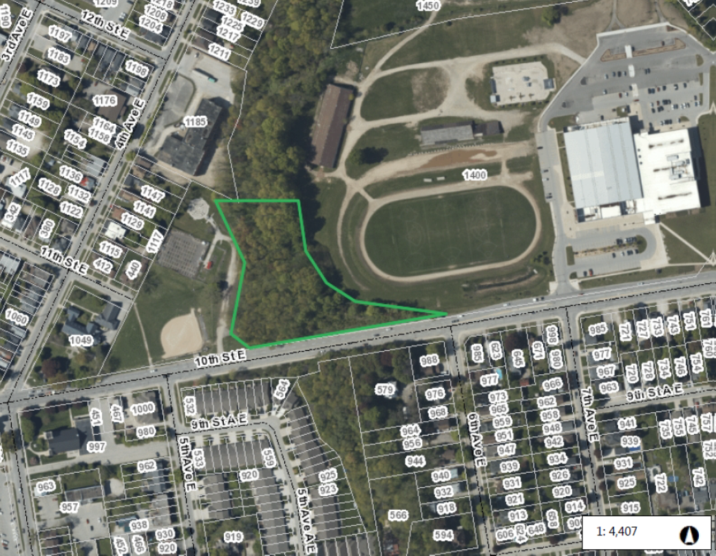 Owen Sound To Commence Forest Restoration Work At St. George's Park