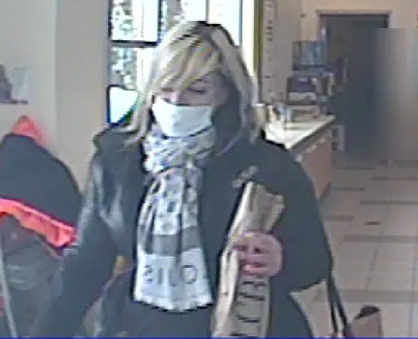 OPP Searching For Thief Who Stole Liquor Bottles From Goderich LCBO
