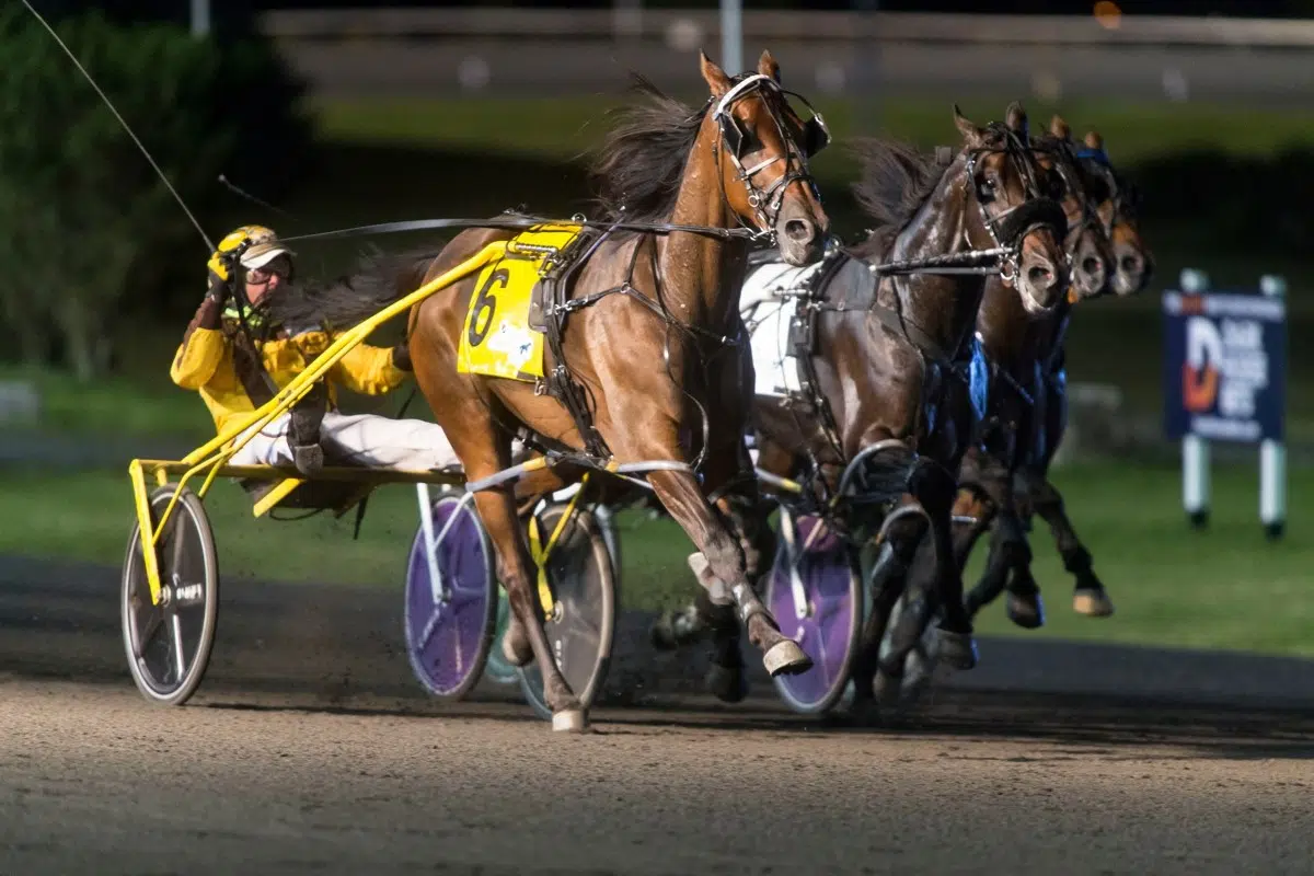 Hanover Raceway To Host Trevor Henry Day July 23rd