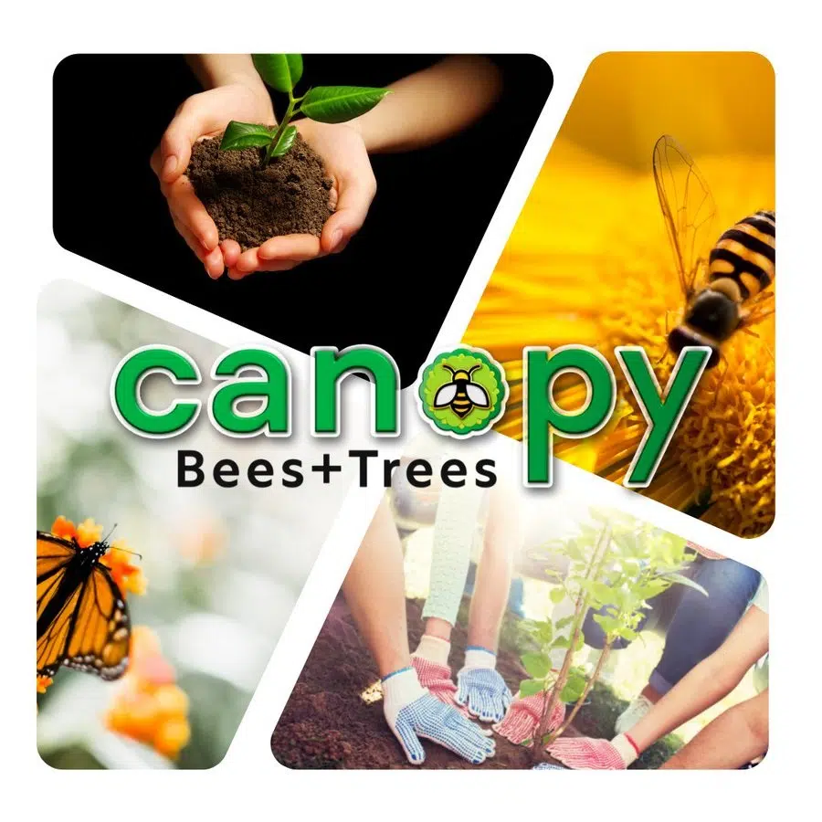 Canopy Collingwood Rebates For Trees and Pollinator Gardens