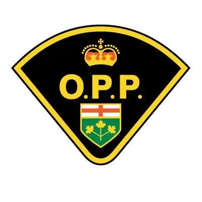 OPP Recover Allegedly Stolen Vehicles In Brockton