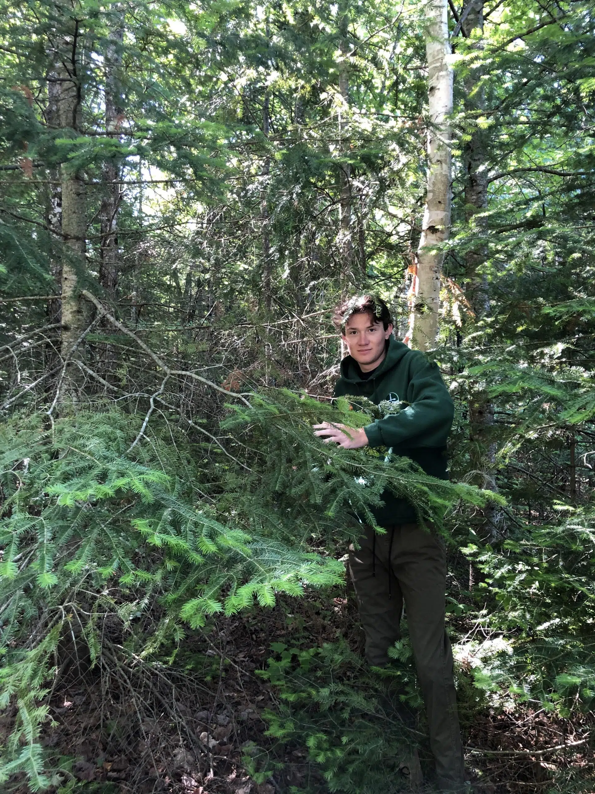 Trent University Sasquatch Society Seeks 'Witnesses' In Owen Sound Area For TV Pilot