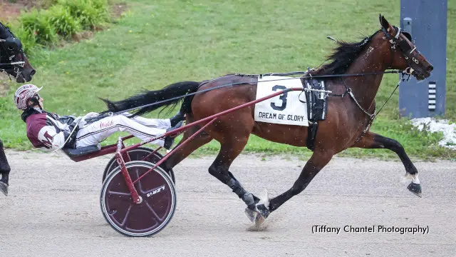 Dream of Glory Preview with Hanover Raceway General Manager Steve Fitzsimmons