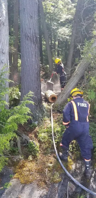 Campers Cause Bush Fire At Little Long Lake