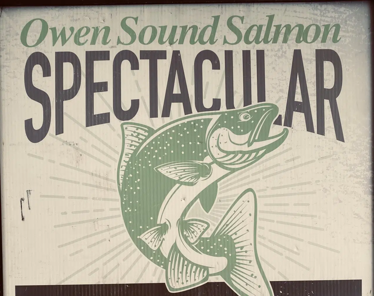 New Trout Leader At Owen Sound Salmon Spectacular