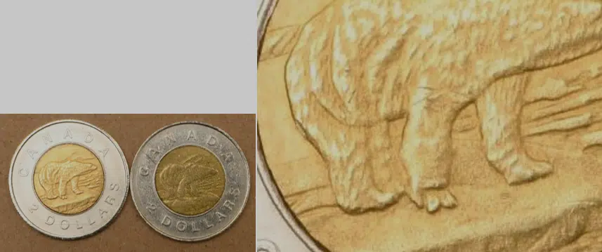 Owen Sound Police: Counterfeit Toonies Circulating In City